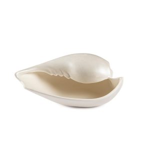 seashell-plate (1)